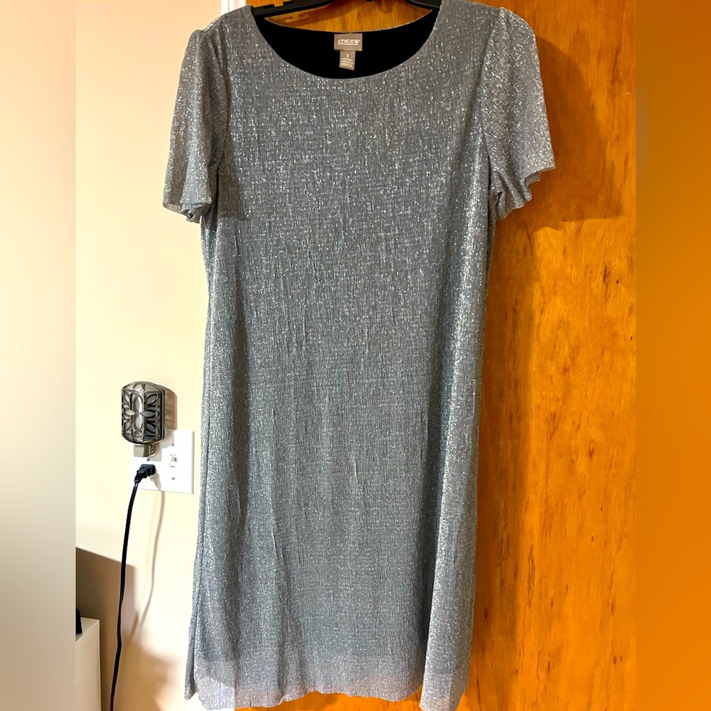 Beautiful Silver Dress Perfect for your Holiday Party!